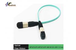 China 12 Core MPO-MPO Female MM Fiber Patch Cord supplier