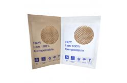China OEM Compostable Kraft Paper Honeycomb Padded Envelopes supplier