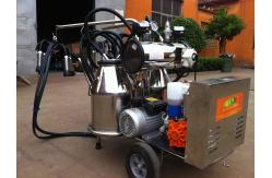 China Portable Food Grade SS Mobile Milking Machine With Gasoline Engine supplier