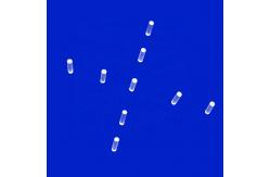 China 10mmx60mm Sapphire 0.5mm To 50mm Glass Rod Lens For Laser Machine supplier