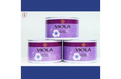 China Unsaturated Polyester Resin Lightweight Bodyfiller Easy Sanding Car Polyester Putty supplier