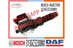 China Injector Pump 313GC5230M 313GC5230MX For DAF XF95 95XF 480 CF75/85 supplier