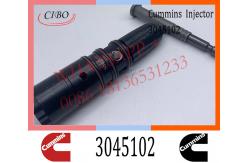 China Diesel M11 L10 Common Rail Fuel Pencil Injector 3045102 3095023 3028066 3076736 supplier