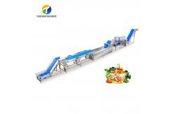 China Automatic Fruit And Vegetable Processing Line Selection Washing Drying supplier