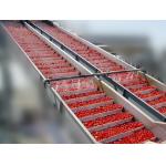 25t/h Automatic Tomato Paste Manufacturing Machine With 150kw Fruit Processing Line for sale