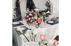 China Drought Resistant Party Bubble Tent Soundproof Transparent Igloo Tent supplier