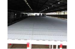China Automatic Broiler Slatted Grating Mesh Poultry Slat Flooring supplier