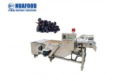 China SUS304 Fruit And Vegetable Washing Machine Grape Cleaner Machine supplier