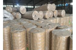 China Galvanized Welded Wire Mesh Panel 1 Inch For Building Material supplier
