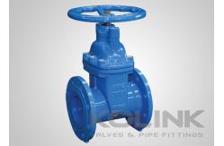 China Cast Iron Resilient Seated Gate Valve Encapsulated Disc Non-rising Stem supplier
