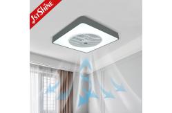 China 20in DC Silent Motor Bedroom Ceiling Fan With LED Light supplier