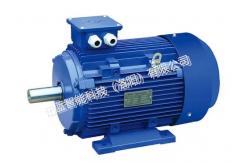 China High - Speed Electric Motor For High Efficiency And Power Density supplier