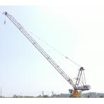 Building Luffing Tower Crane Luffing Crane Jib 6T for sale