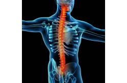 China Comfortable Lumbar Decompression Machine Spinal Decompression Device supplier