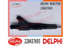China 228437693 Delphi Genuine Diesel Engine Fuel Common Rail Injector supplier