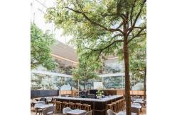 China 2M Height Artificial Landscape Trees Ficus Plant Store Ornaments supplier
