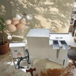 Automatic Egg Cleaner Washer Egg-Washing-Machine Chicken Duck Washer Egg Washing Machine for sale
