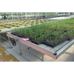 Agricultural Ebb And Flow Benches Hydroponic Seedbed Indoor Grow Room Benches for sale