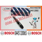 Common Rail Fuel Injector Diesel Injectors 04290988 0986435559 0445120065
