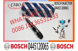 China Common Rail Fuel Injector Diesel Injectors 04290988 0986435559 0445120065 supplier