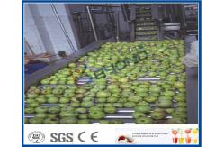 China Vegetable / Fruit Processing Equipment With Automated Sorting System CE / ISO9001 supplier