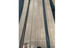 China Natural Sliced Cut American Black  Walnut Plain Cut  Veneer Sheet For Plywood supplier