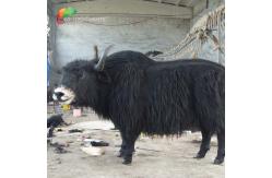 China Customized Lifelike Animatronics Robotic Animal Wild Yak Replications For Exhibition supplier