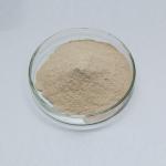 Food Grade Neutral Protease Enzyme Feed Grade Protease Powder for sale