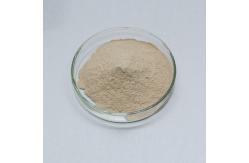 China Food Grade Neutral Protease Enzyme Feed Grade Protease Powder supplier