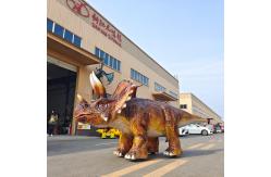 China Simulation Electric Brachiosaurus Walking Animatronic Dinosaur Ride for Kids supplier