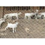 14 Gauge 6 Gauge Metal Chain Link Fencing Low Carbon Steel for sale