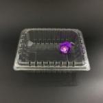 24*18*8cm Clear Disposable Fruit Packaging Plastic Boxes With Lids for sale