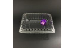 China 24*18*8cm Clear Disposable Fruit Packaging Plastic Boxes With Lids supplier