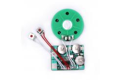 China ODM OEM Audio Recordable Sound Module With Speaker PCB Board supplier