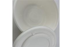 China Small Disposable Biodegradable Sugarcane Bagasse Pulp Sauce Cup With Lid supplier