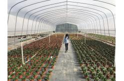 China Arched Temperature Control Tunnel Green Houses With Outside Shading System supplier