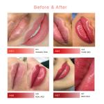 ODM 1000ml Lip Permanent Makeup Pigments Liquid For Machine