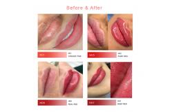 China ODM 1000ml Lip Permanent Makeup Pigments Liquid For Machine supplier