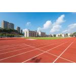 0.66N/mm2 Athletic Track Surfaces 13mm Synthetic Sport Ground Flooring for sale