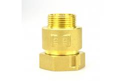 China Single Port One Way  Check Valve Female X Male Anti Air Rotation supplier