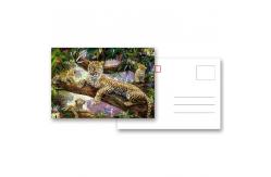 China Durable 3D Lenticular Card Plastic Card For Traveller Gift supplier