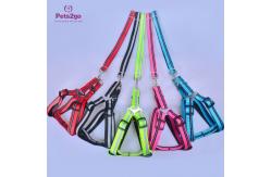 China Nylon Rope Odm XL Dog Walking Training Leash supplier