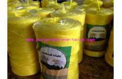 China UV Treated Polypropylene Twine , PP Agriculture Square Hay Baler Twine supplier