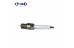 China 69919D RB77WPCC GE3 5 Generator Spark Plug supplier
