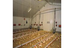 China Fully Automated Modular Steel Structure Poultry House Fireproof Prefab Farm Buildings supplier