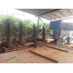 Dia. 1200mm sawing CNC Automatic Feeding Vertical Band Sawmill With Log Carriage