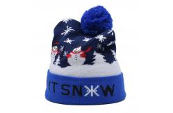 China Custom Wool Merino Knit Beanie Hats Casual Occasion For Adults supplier