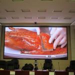 High Definition Video Stage LED Screens Panel Display With Die Casting Almuinum Cabinet for sale