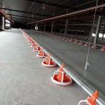 PVC Automatic Poultry Feeder System Broiler Automatic Pan Feeder