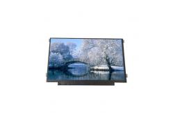 China B116XAK01.1 11.6 inch LCD module 1366*768  LCD Screen supplier